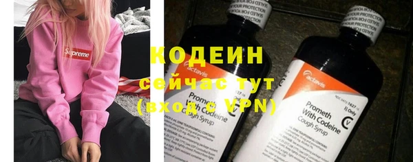 дмт Вяземский