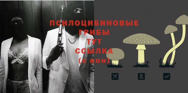дмт Вяземский