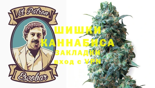 дмт Вяземский