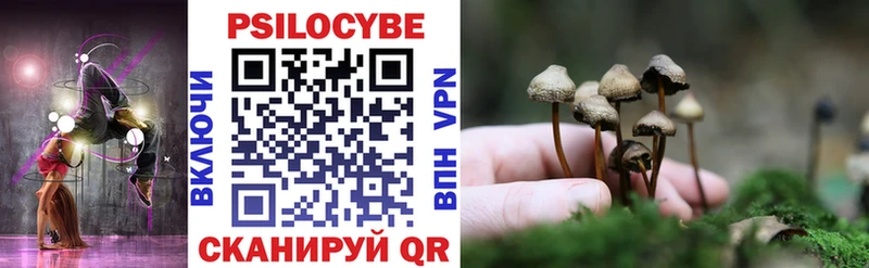 Псилоцибиновые грибы ЛСД  Елизово 
